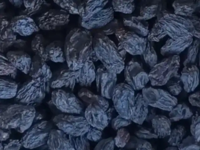 Мавиз кишмиш, Душанбе