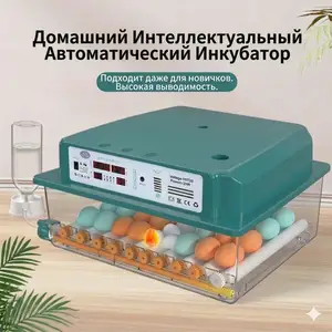 Инкубатор, Душанбе