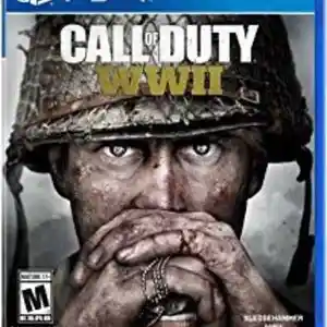 Игра Call of Duty WW2 для Sony PlayStation 4, Душанбе
