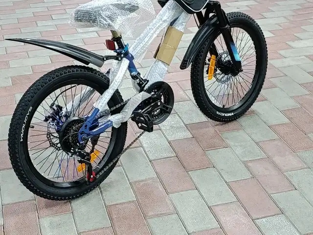 Велосипед, Душанбе