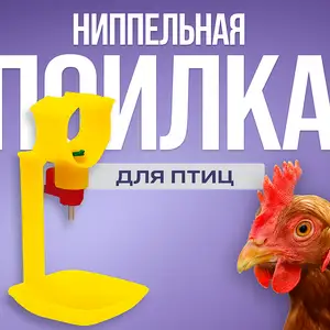 Обхурак/Поилка ниппельная, Душанбе