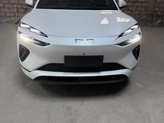 BYD Sea Lion 06