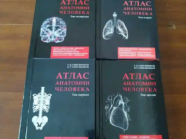 Книга Анатомия человека, Душанбе