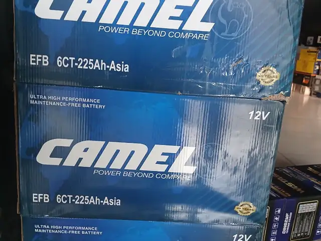 Аккумулятор Camel, Душанбе