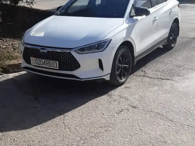 BYD E2
