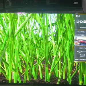 Телевизор LG 65 UR80, Душанбе