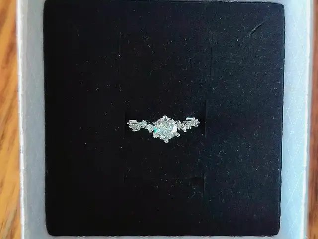 Кольцо из стали, Душанбе