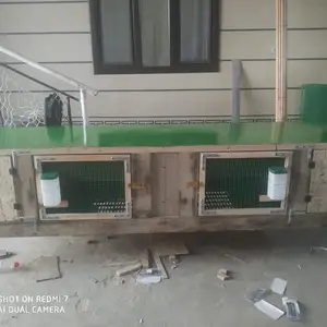 Клетка для кроликов, Душанбе