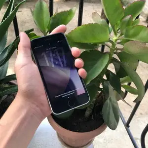 Apple iPhone SE, 64 gb, Душанбе