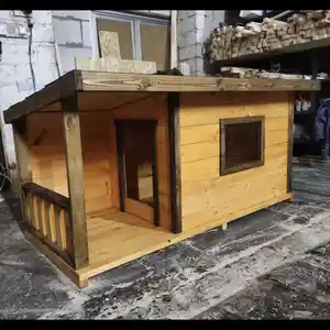 Будка для собак, Душанбе