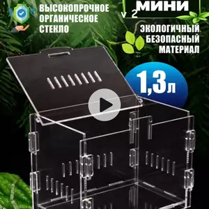 Террариум, Душанбе
