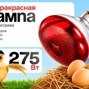 Лампа инкубатор брудер, Душанбе