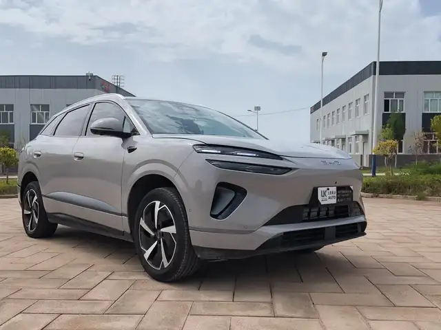 BYD Sea Lion 06