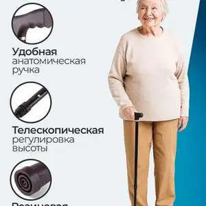 Трость Ассо, Худжанд
