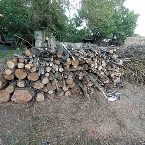 Хезум, Худжанд