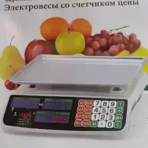 Весы, Душанбе
