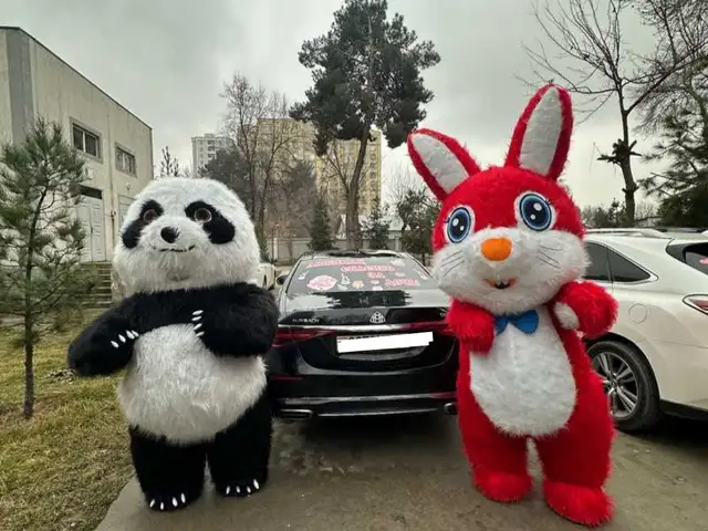 Услуги аниматора, Душанбе - 3