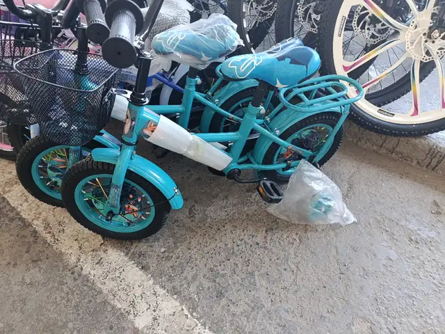 Велосипед, Душанбе