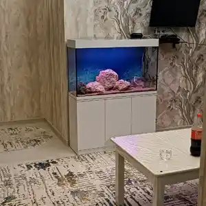 Аквариум, Худжанд