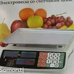 Весы, Душанбе