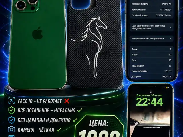Apple iPhone Xr, 128 gb, Панҷ