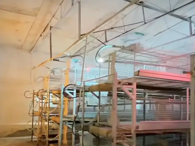 Птицеферма, Хуҷанд - 2