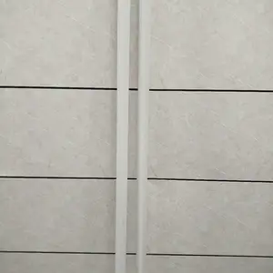 Уголок Амстронг, Душанбе