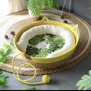 Лежанка+игрушка+когтитошка, Худжанд