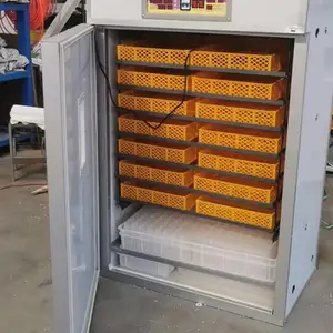 Инкубатор 880 донага, Душанбе