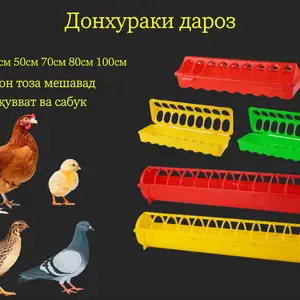 Кормушка/Донхураки дароз, Душанбе