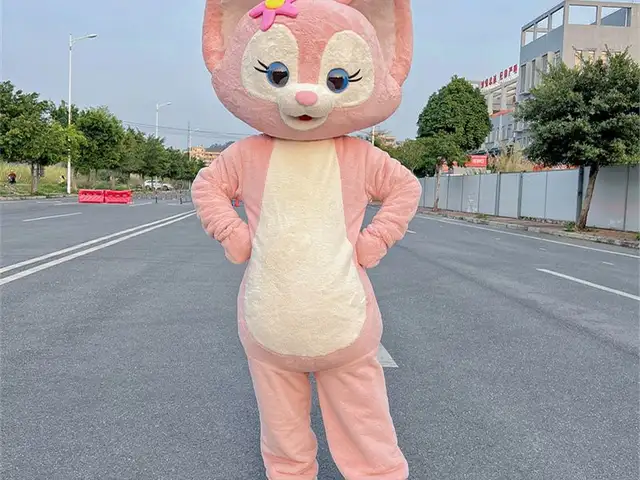 Костюм Аниматор, Душанбе
