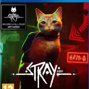 Игра Stray для PS4, Худжанд