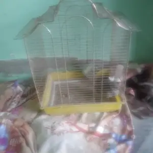 Кафас барой папугай, Вахдат