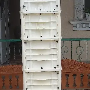 Колабхои бо сифат, Худжанд