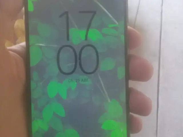 Sony Xperia L1, Рӯдакӣ