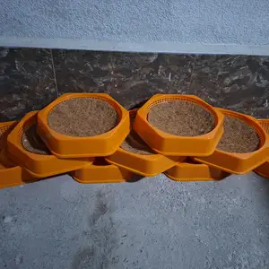 Гнездои Кафтар, Душанбе