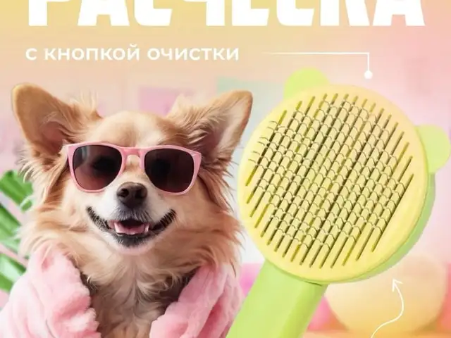 Расческа для кошек и собак, Хуҷанд