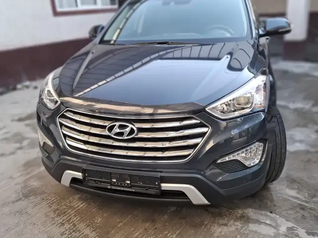 Hyundai Maxcruz