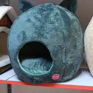 Домик для кошек, Худжанд