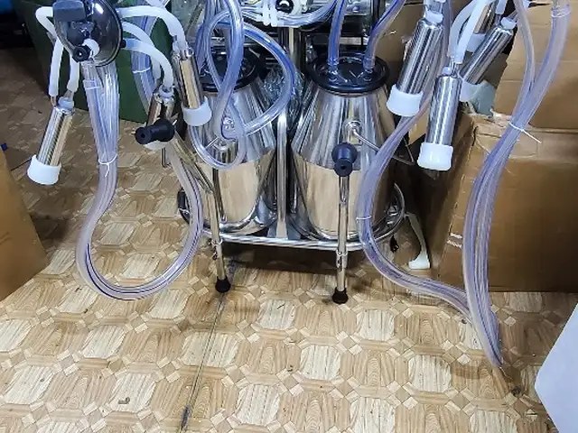 Доильный аппарат, Хуҷанд