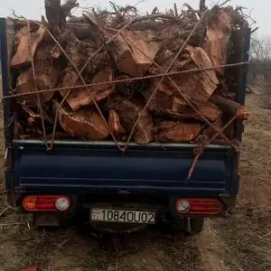 Хезум, Хуҷанд