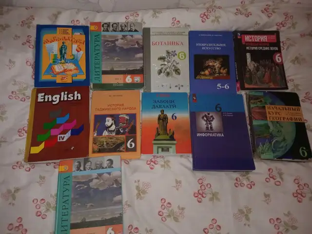 Книги на русском языке 6 класс, Душанбе