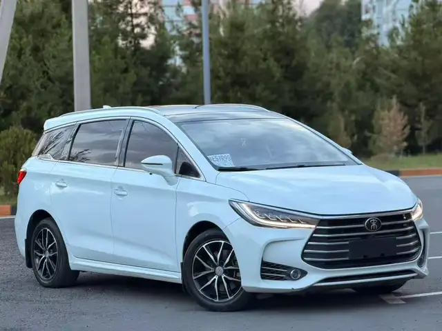 BYD Другие модели