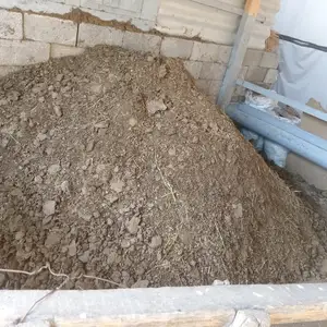 Поруи гусфанд, Гиссар