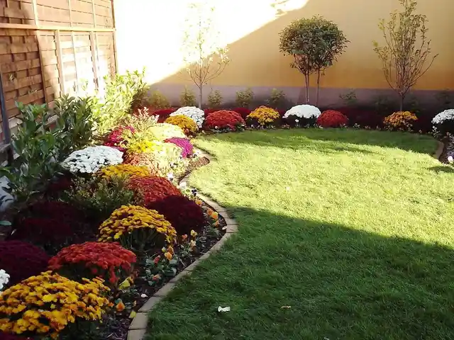 Услуги по посеву газона, Худжанд