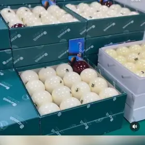 Бильярдные шары, Худжанд