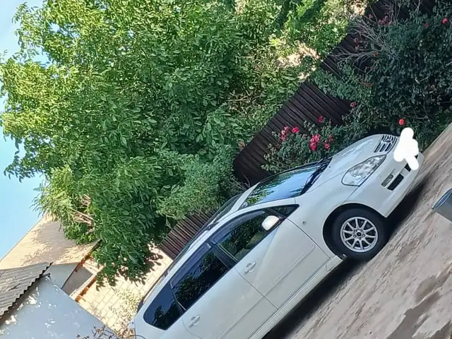 Toyota Ipsum