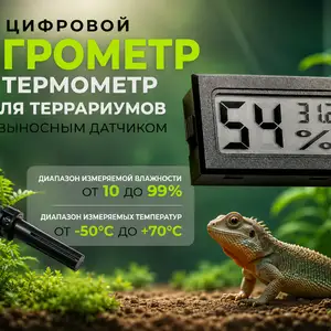 Гигрометр, Душанбе