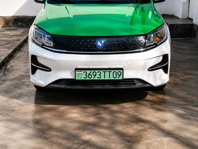 Dongfeng Forthing