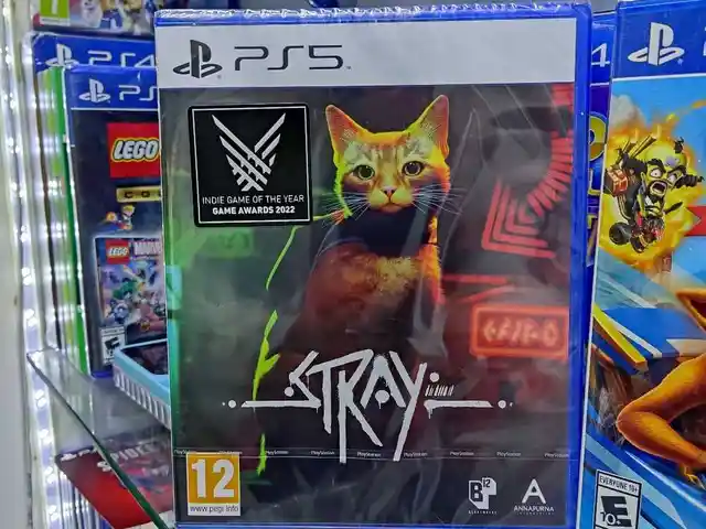 Игра Stray для PlayStation 5, Душанбе